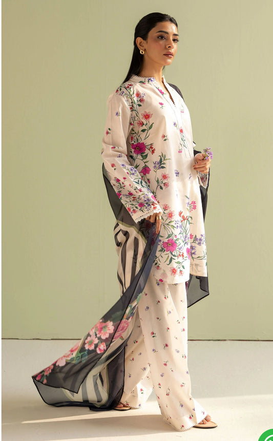 ZARA SHAJAHAN |COCO PRINTS 2025| REENA-4B