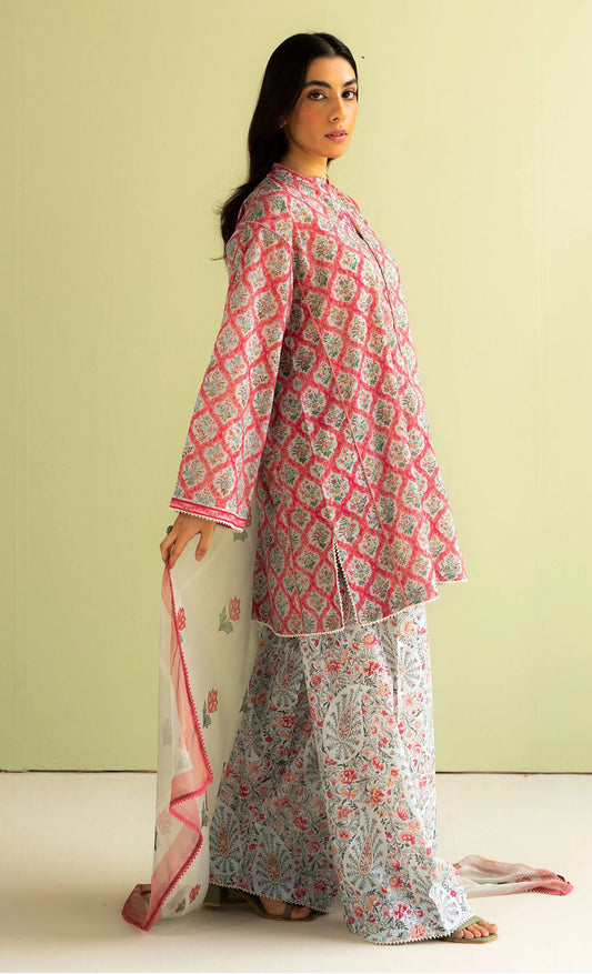 ZARA SHAJAHAN |COCO PRINTS 2025| AMAYA-10B